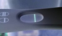 3E08B3AD-0993-4B6B-8D65-6E7C6B19D44F.jpeg
