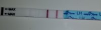 20190903_064622.jpg