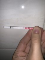 8203FE11-1065-463E-9430-0B876726A6E8.jpeg