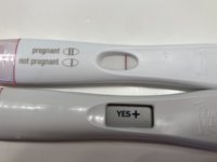 7AFCD02C-E09F-41AB-BC6D-A1345896435A.jpeg