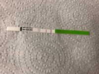 2B438700-AC16-4AF2-B1DA-2C9DC448D966.jpeg