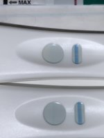 E539477E-5D32-47AB-8112-F5880AD2767D.jpeg
