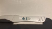 23A08BAA-B1CA-4141-B9B9-1143FA6849D0.jpeg
