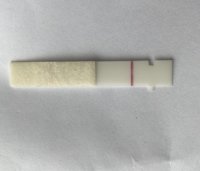 D6EAE378-487D-4738-8769-D4B9094490CB.jpeg