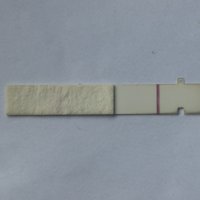 890B3F8A-99F2-4497-B0FE-C067346EAC57.jpeg
