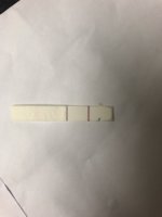 053B727D-862C-4485-940C-B21AE34FDFD1.jpeg