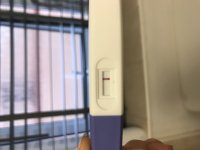 5C32EC87-FDEE-45C2-A5A6-DCFCA6181FB8.jpeg