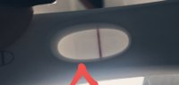 20191008_094838.jpg