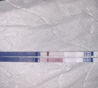 42071763-88AF-4903-BBF8-DB7E81164573.jpeg