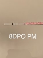 A24C0DDA-AE39-456C-B02F-2F51C15748D0.jpeg