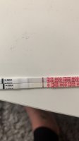94E7945D-5837-434F-87D8-1B451D7E83DF.jpeg