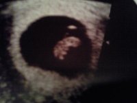 Scan pic 2.jpg