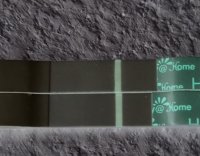 1B300799-314B-4569-B808-21D1EEBD3518.jpeg