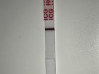 VAWbjBfxSRSgwtWw8clS4w.jpg