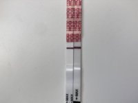 PX7bX1fiQ%O+p%tQl+NVhw.jpg