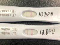 12DPO2.jpg