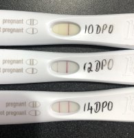 DPO142.jpg