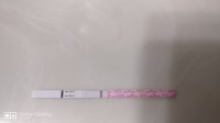 IMG_20191101_065538.jpg