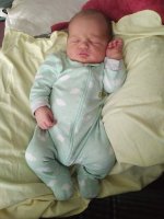 IMG_20191029_1359513.jpg
