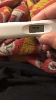 ECF09452-8046-43B3-933F-6AFEC6FD8277.jpeg