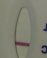 F74194C6-928A-4754-9088-FFA95752ACC1.jpeg