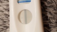 IMG-20191120-WA0006.jpeg