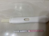 4EAC4818-F791-439B-84C7-BC65843997D5.jpeg