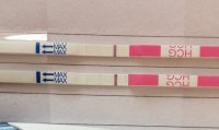 IMG_20191204_092533.jpg