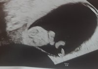 20191205_124154.jpg