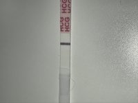 IMG_5848.jpeg