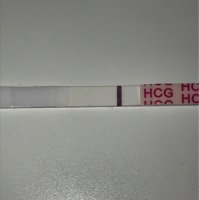 IMG_5865.jpeg