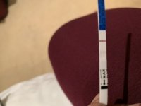 040D5296-FC58-40D3-94E2-680BE4A2F5CC.jpeg
