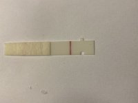0320C29A-1BC6-4824-8636-119E4A47013C.jpeg