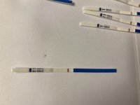 AE97C197-EB69-4E21-9206-F0AEDCFDB16F.jpeg