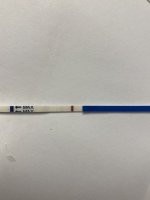 8E533738-A014-4A0D-8259-6226C5E91852.jpeg