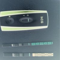 4AAD0783-D203-44FD-A81B-6EF095D1D7B0.jpeg