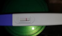 IMG_20200111_090631.jpg