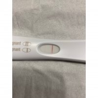 FRER.jpeg