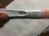 MondaY Pregnancy test FRER darker.jpg