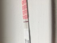 CFE54AAE-5218-47C6-A6B7-B4CAA9E1D5D6.jpeg