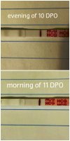 iPiccy-collage.jpg