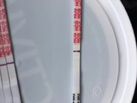 EEFE538A-A493-472E-A809-AAEFC8F10644.jpeg