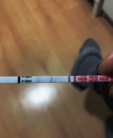 11 dpo pm.jpg