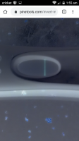83397780_593834988134232_2374754217584754688_n (1).png