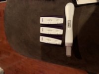 A3F809AB-47CD-43CB-8FF5-4562B9C7AC56.jpeg