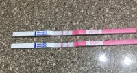 Saturday IC after bleeding scare!.jpg