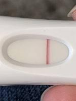 12DPO AM.png