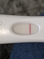 12DPO PM.png