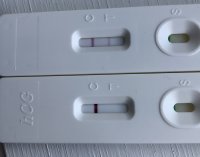 300A260A-B002-4570-AC95-D2A4EEF4BC8E.jpeg