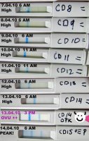 Resized sticks.jpg